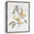Watercolor Fruit Contour II  Framed Print - Solid Wood-1139201880