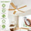 132cm Ceiling Fan-1142869961-1142869962