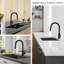 Metro Lane Daury Kitchen Faucet-1206642573