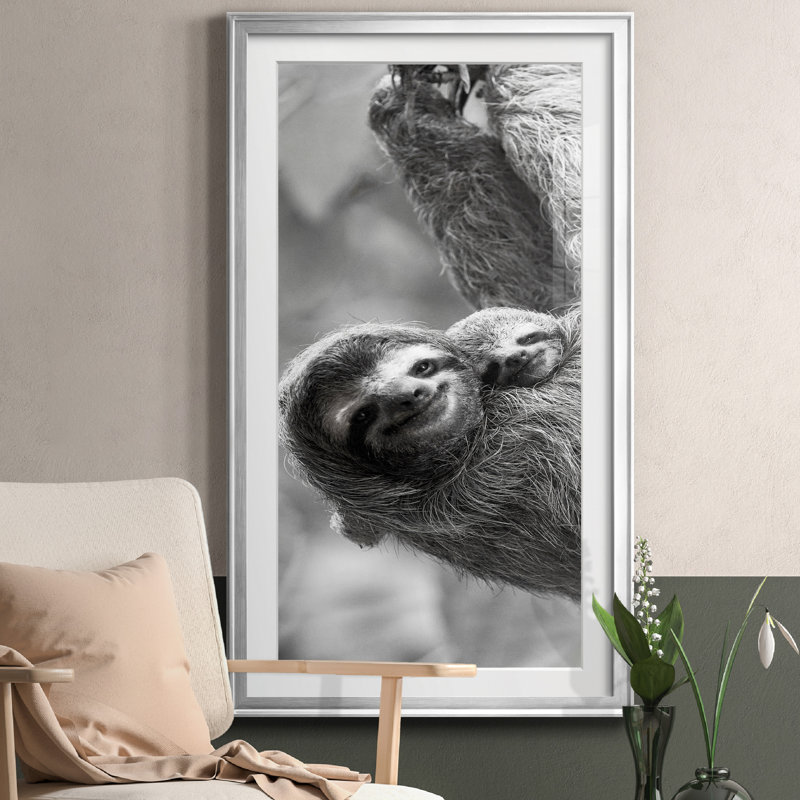 Sloth Swing - Photographie avec cadre photo, Argent, H 22,5 po x l 42,5 po x P 1,5 po