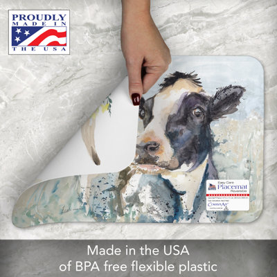 On The Range 4 Piece Reversible Easy Care Placemats
