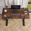 Fanchon 47.24'' Height Adjustable Standing Desk-1730613366