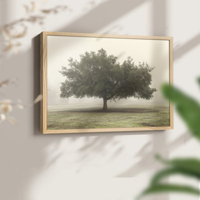 Trees in the Fog II -Framed Print - Restickable