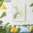 Softwash Abstract  II -Framed Print