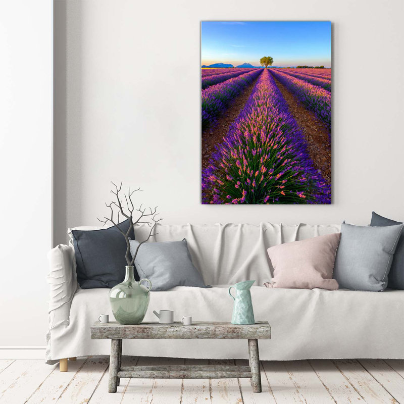 Lavender Field - Wrapped Canvas Print