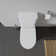 1.28 GPF (Water Efficient) Elongated Two-Piece Toilet (Seat Not Included)