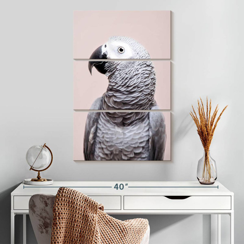 Brampt African Grey, 32'' H x 20'' W