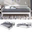 Kalena Daybed with Trundle