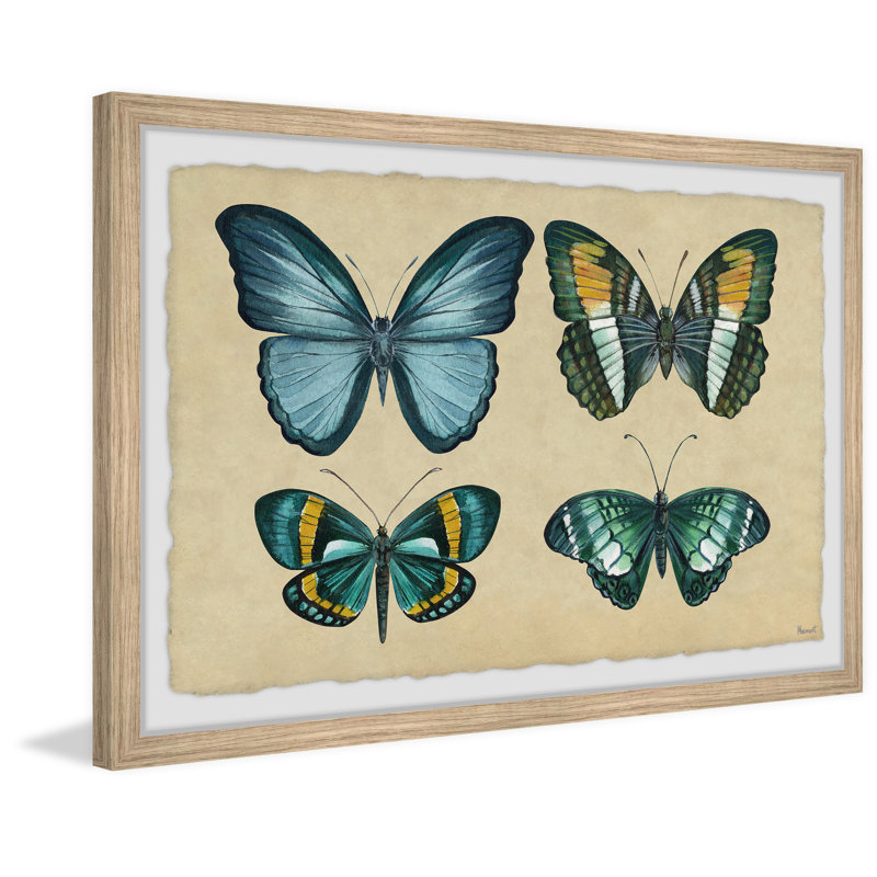 Wing Pattern - Single Picture Frame Print, 20cm H x 30cm W x 3.81cm D
