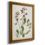 Antique Botanical Collection I, toile encadrée de qualité supérieure - prête à être accrochée-24480480