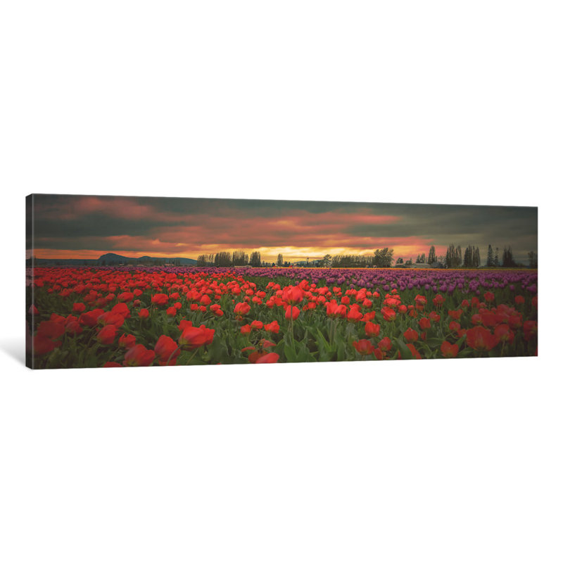 « tulips éclairez grâce », reproduction de photo sur toile, H 12 po x l 36 po x P 1,5 po, Toile tendue