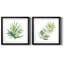 Palm Frond I - ensemble de 2 reproductions de cadres photo-61458042-61458037