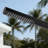 86.02"H Single-Function 316 Stainless Steel Freestanding Outdoor Shower