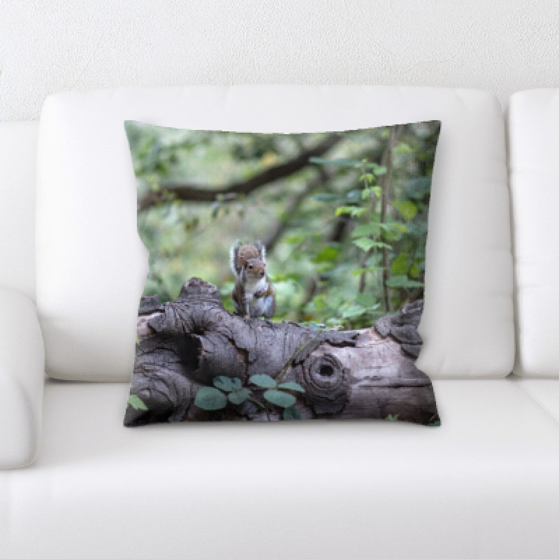 Microsuede Throw Pillow