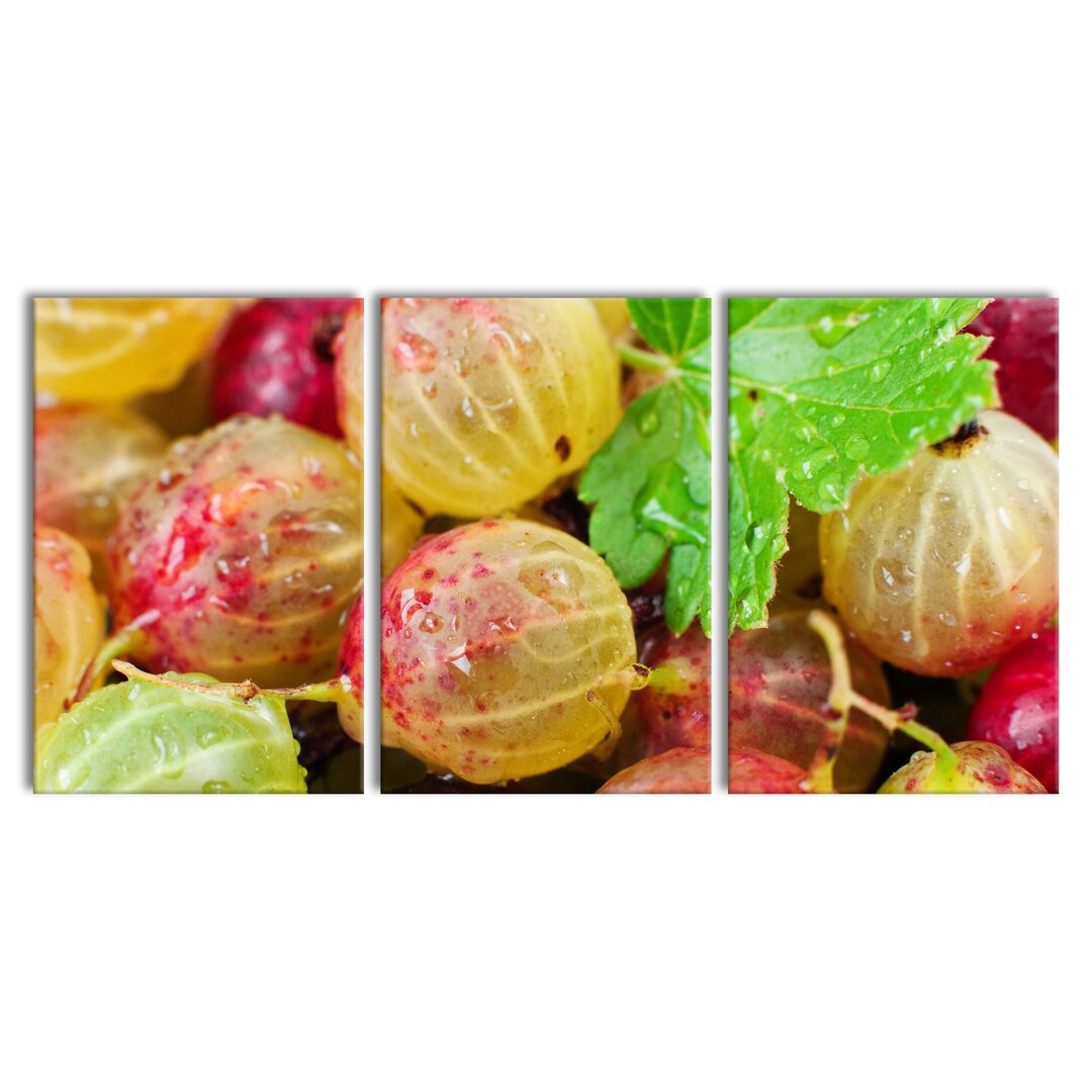 3-tlg. Leinwandbilder-Set Delicious Gooseberries