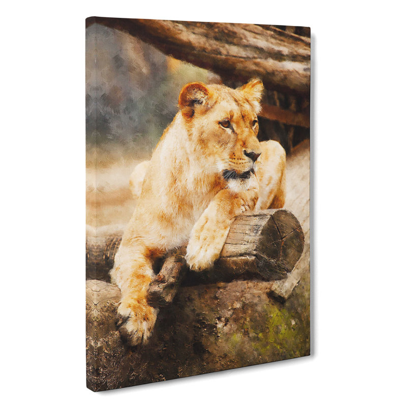Lioness - Wrapped Canvas Print, 60cm H x 40cm W x 3cm D