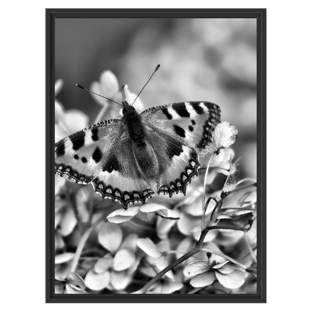 Gerahmtes Wandbild Schmetterling auf weißen Blüten