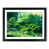 Black Framed selected