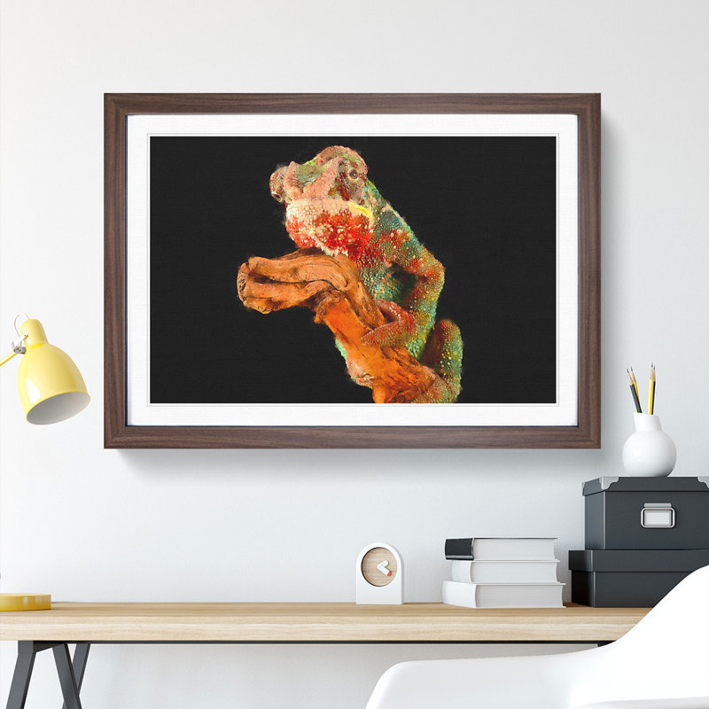 Chameleon - Framed Print, 48cm H x 65cm W x 2cm D, Walnut Framed