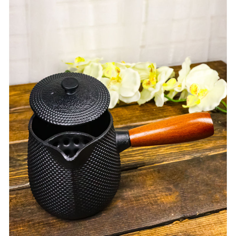 Théière en fonte à poignée latérale de style Kyusu, ornée de clous, 532 ml (18 oz), intérieur émaillé.