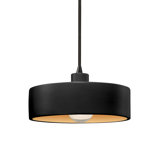Radiance 1 - Light Pendant