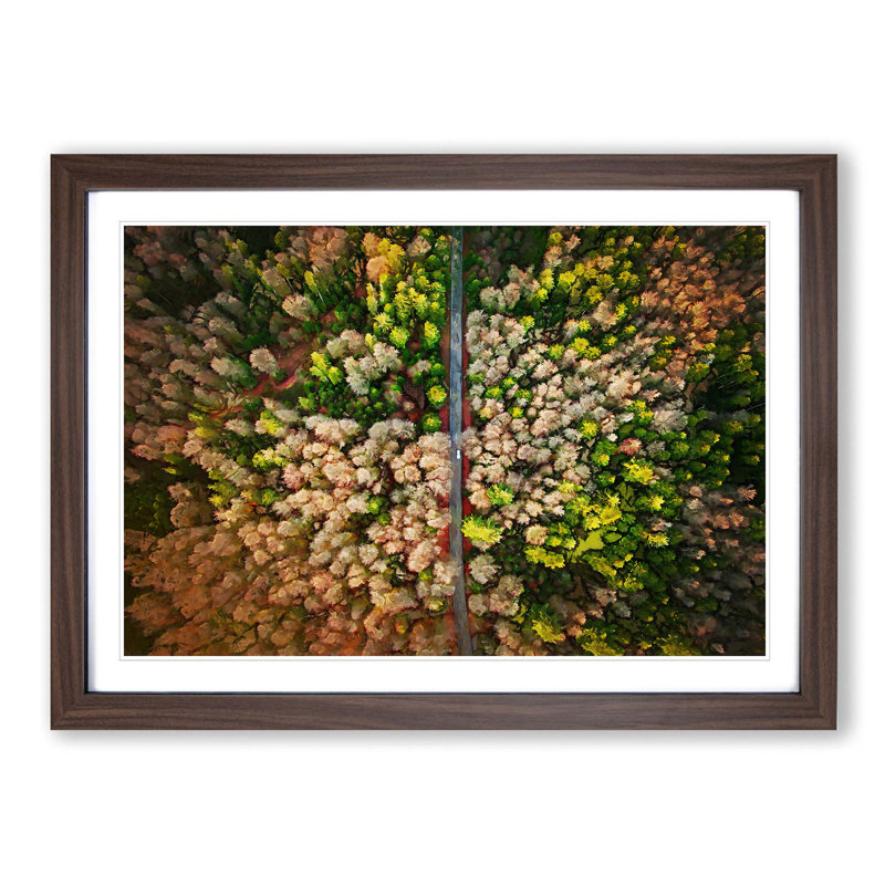Separating the Forest - Picture Frame Graphic Art Print, Walnut, 60cm H x 91cm W x 2cm D