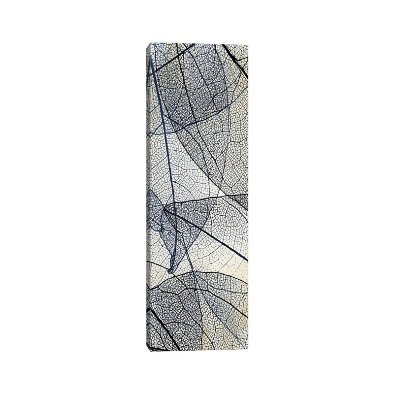 Transparent II by Kimberly Allen - Wrapped Canvas Panoramic Print, 121.92 cm H x 40.64 cm W x 3.175 cm D
