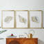 Citron croquis I - toile tendue avec châssis encadré - 3 pièces-177427992-177427995