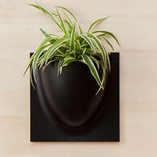 Wall Planter, Black