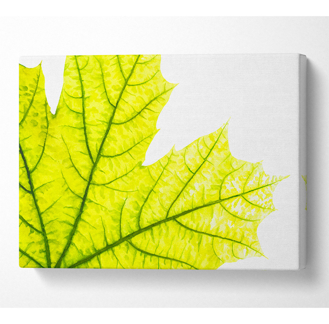 Magnificent Leaf - Kunstdrucke auf Leinwand - Wrapped Canvas