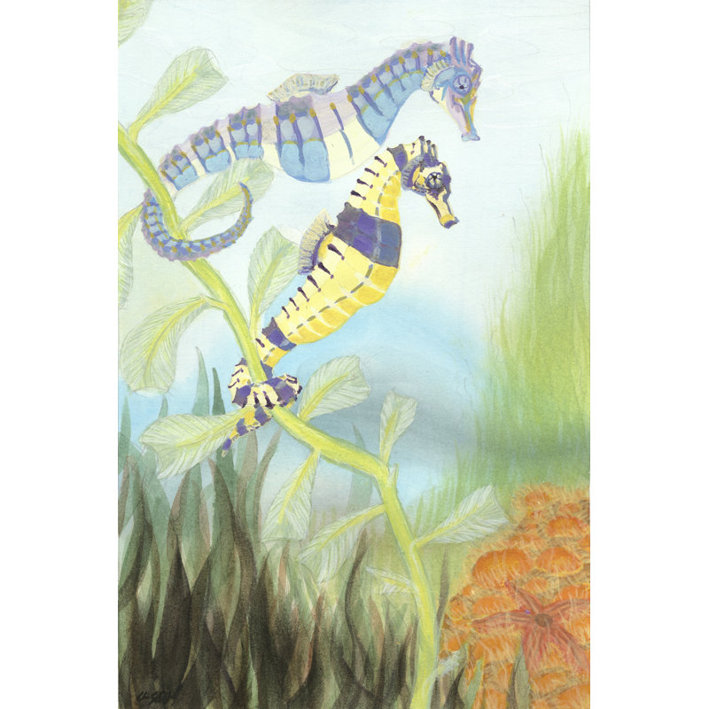 Seahorse Serenade III - Wrapped Canvas Print, 30cm H x 20cm W