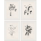 Plant I, II, III & IV Giclee Print by Carrier And Company