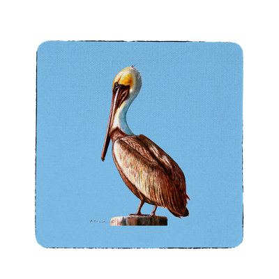 Pélican Coaster