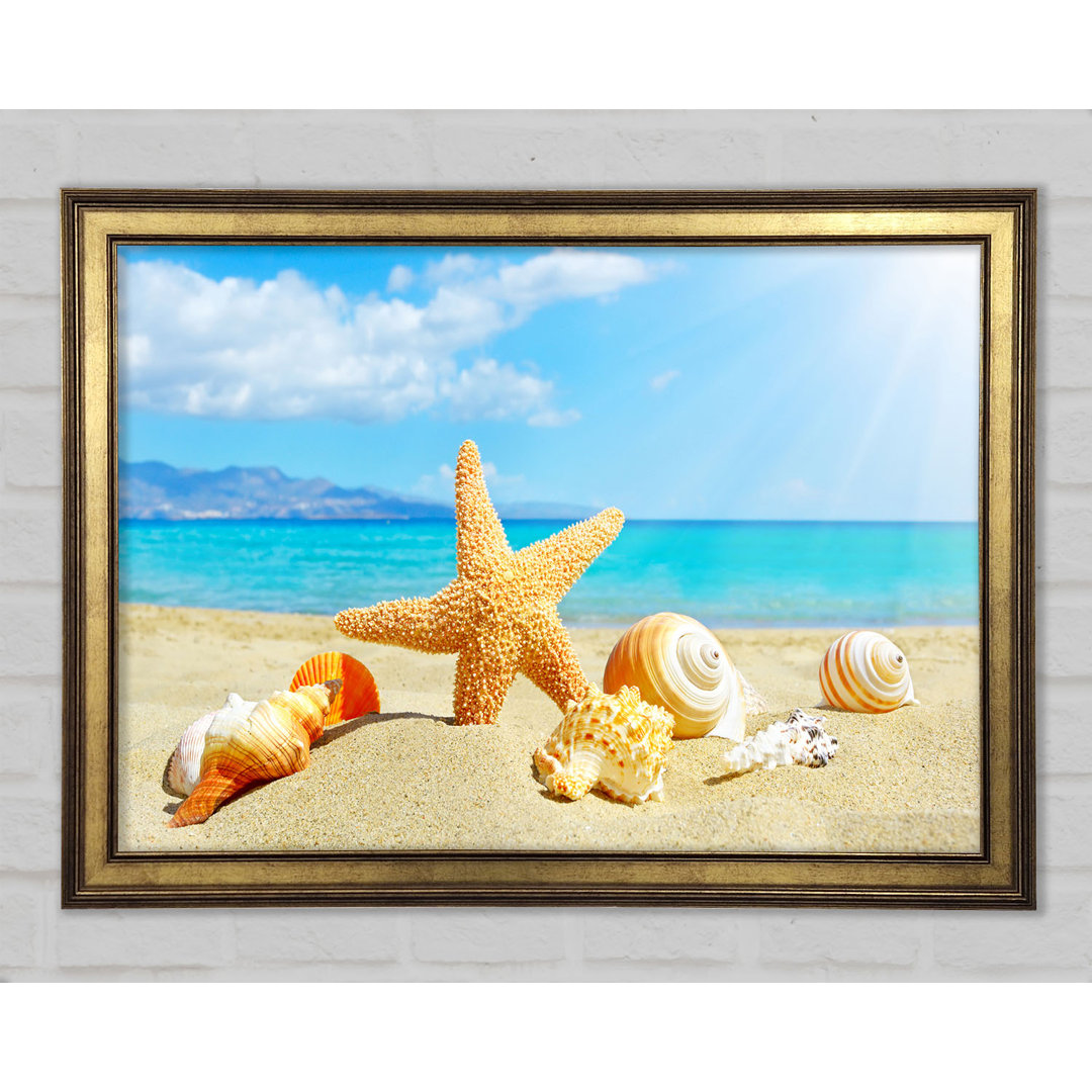 Gerahmter Fotodruck Starfish Standing In The Sand