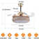 Zahnya 42'' Ceiling Fan with LED Lights