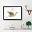 Crane & Bittern by Johan Teyler - Picture Frame Painting Print-55510594-55510596
