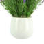 Outdoor UV-Rated Lavender in Fiberstone Pot