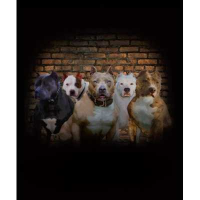 Pit Bull Plush Blanket