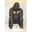 Statue en bronze King King - Taille: L 32 po x l 28 po x H 49 po.