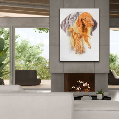 " Hungarian Vizsla " by Barbara Keith