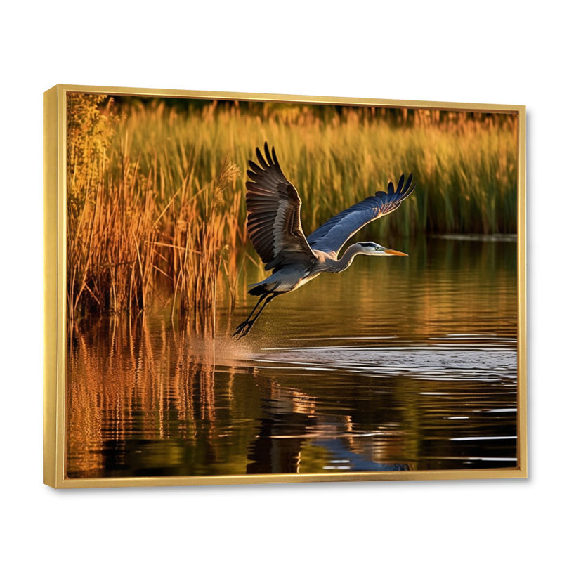 Heron In Delaware Lakes sur impression sur toile, H 24 po x l 32 po x P 1 po, Cadre flottant doré
