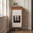 Luxury Practical Storage Shoe Cabinet