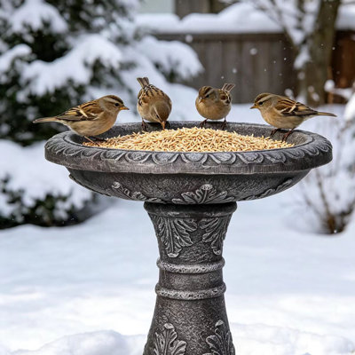 Bain d'oiseaux en béton de 24,4 po de hauteur - Bain d'oiseaux sur pied à piédestal pour l'extérieur de la cour, rehausse le jardin, le patio, la cour et la pelouse