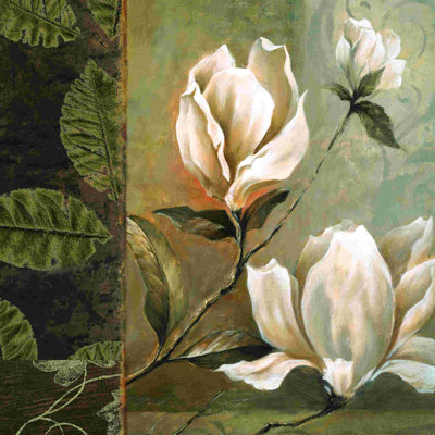 " White Magnolias "