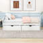 Twin Size Storage Platform Bed with Drawers-564685095