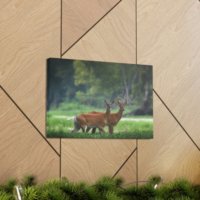No Frame Print on Canvas