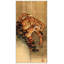 Hokusai - Wrapped Canvas Painting-21212160