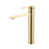 Satin Brass