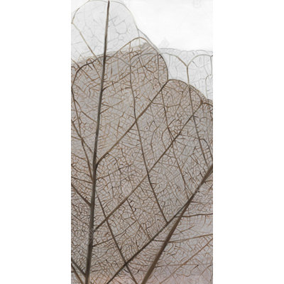 Translucent dried leaves - 15.75"x31.50" Desk mat