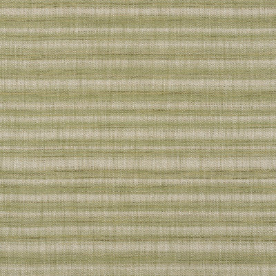 Petra Stripe Fabric